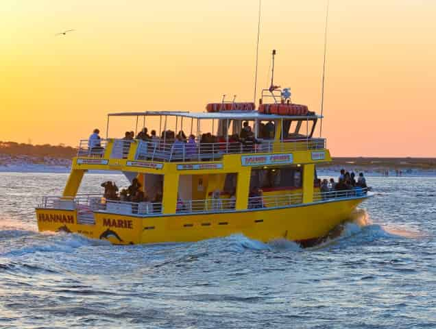 destin dolphin sightseeing