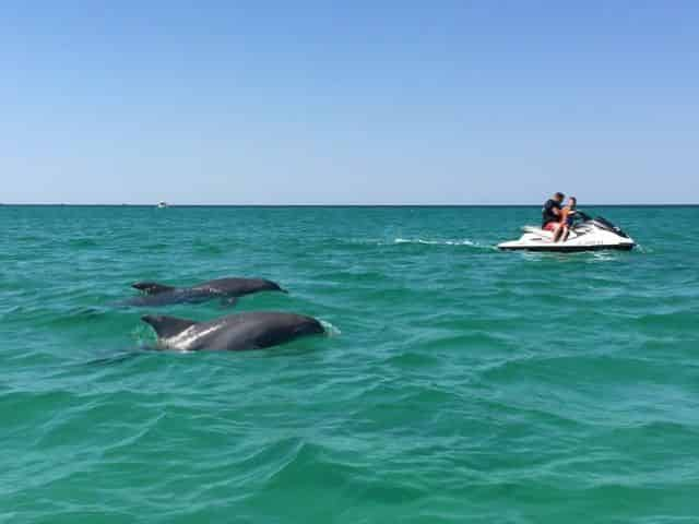 xtreme-h2o-dolphin-waverunner-tour