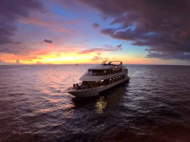 romantic cruise in st petersburg