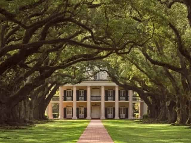 oak alley plantation