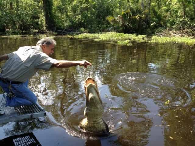 airboat swamp tour from new orleans