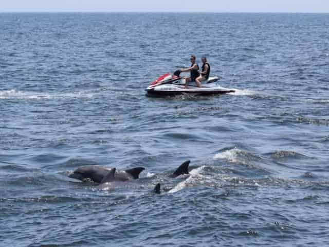 people riding jetskis