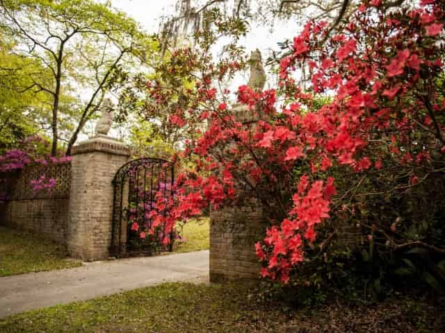 brookgreen gardens