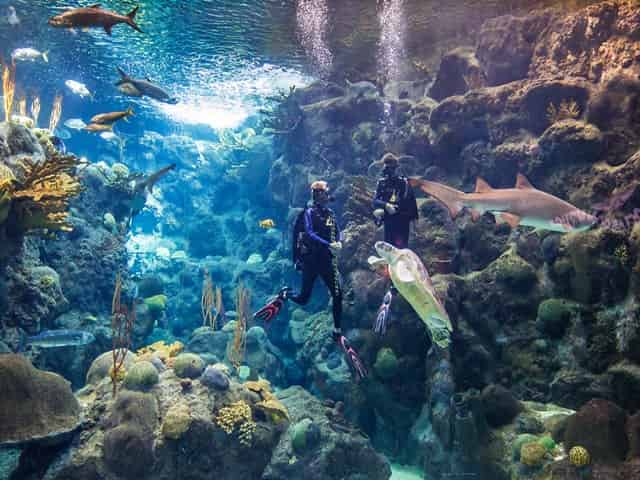 florida aquarium tampa