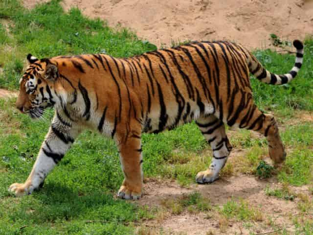 Alabama Gulf Coast Zoo