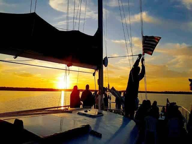 Cetacean dolphin cruise alabama