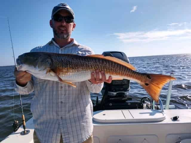 fishing in clearwater, fl