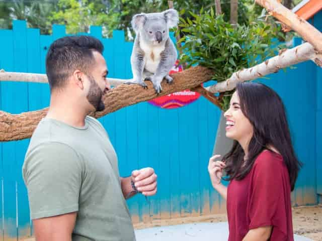 couple at the zoo