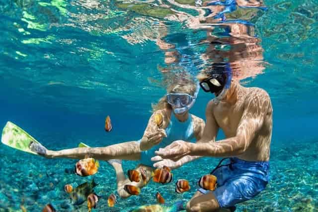 Couple snorkeling among fish in 30A