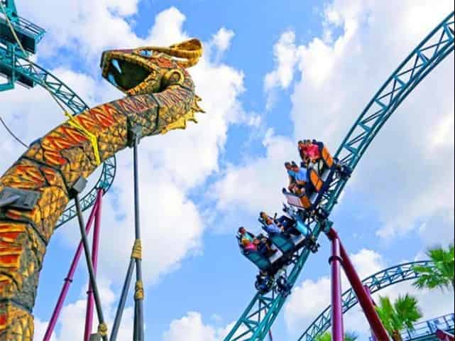 roller-coasters-tampa-for-adults