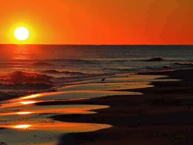 relax on the beach in gulf shores alabama