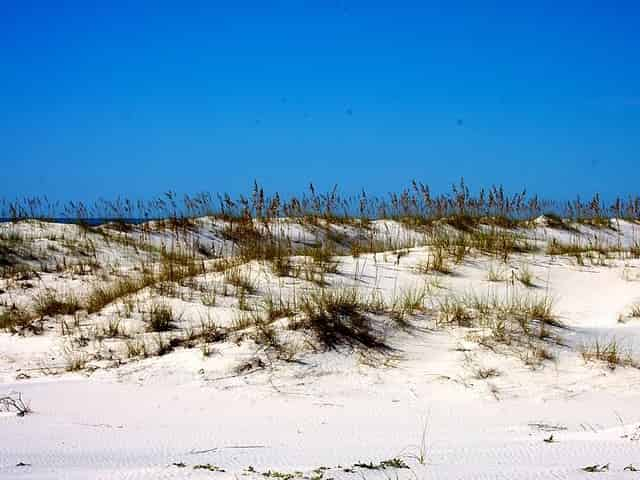 Bon Secour National Wildlife Refuge