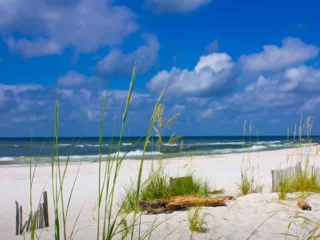 beaches of gulf shores, al