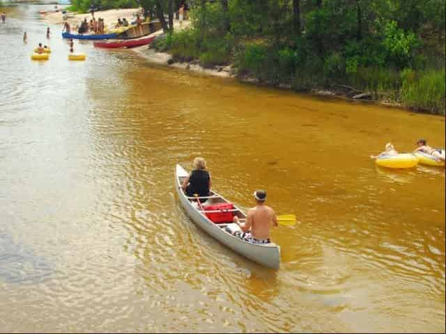 blackwater river canoe rental