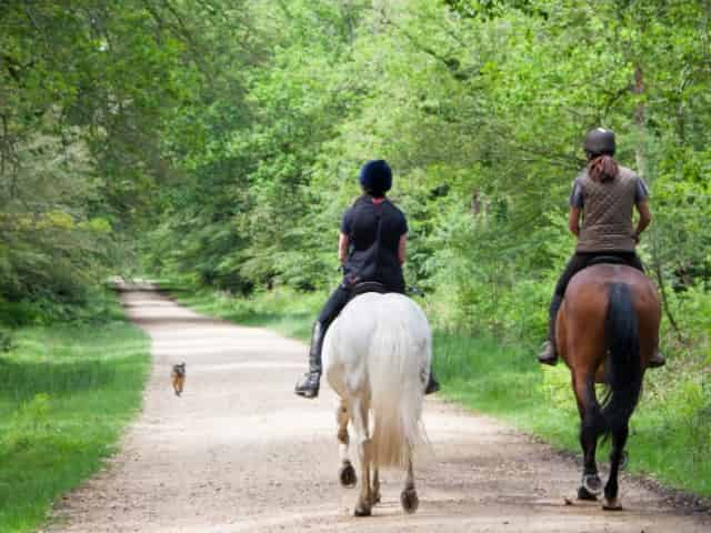 horseback riding in 30a