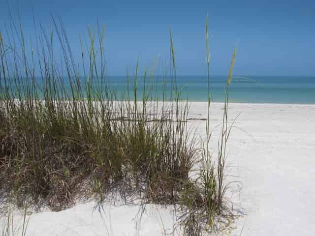 sand dunes in 30a florida