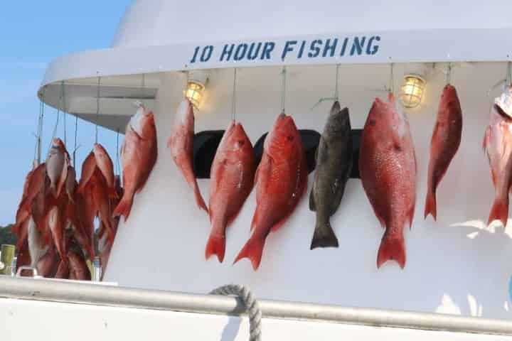 Gulf Red Snapper Fishing