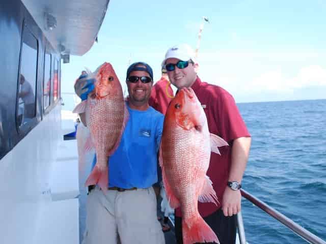 florida red snapper in season