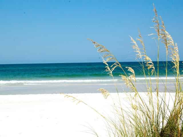 shell island panama city beach fl