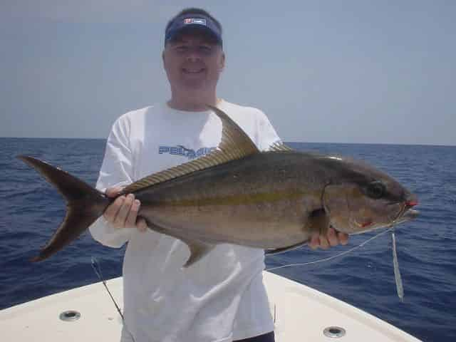 amberjack reeled in on a destin fishing charter