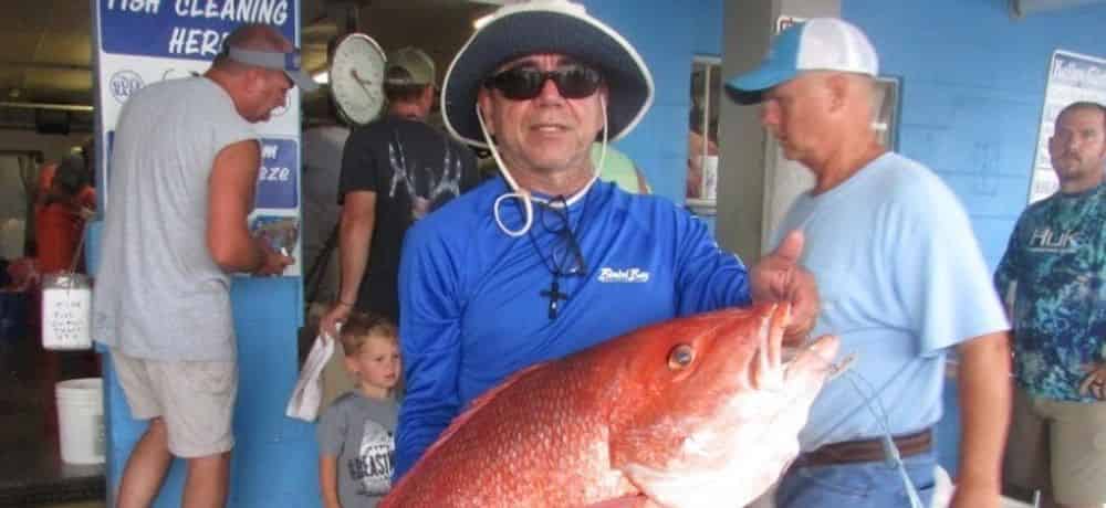 5 Best Types of Fish in Destin to Catch and Eat