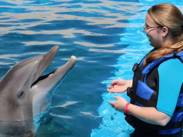 gulfarium marine park animal encounter