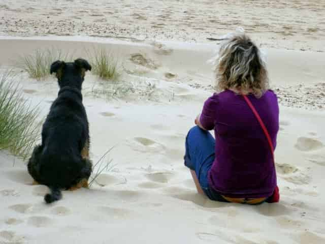 dog on a 30A vacation at the beach