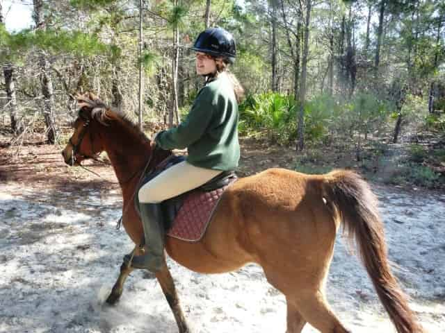 horseback riding in seaside, fl