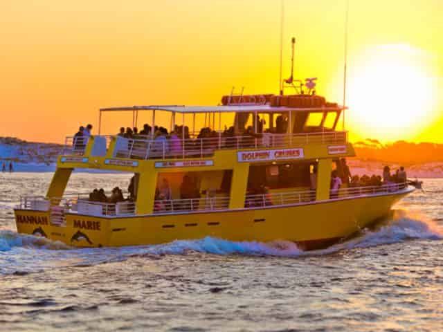 dolphin cruise in destin during winter