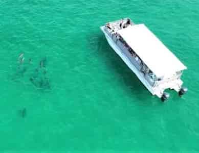 Best Kid-Friendly Attractions in Destin, Florida (2025 Guide)