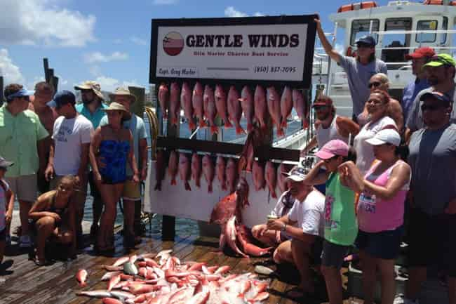 Big Catch on a Destin Fishing Trip