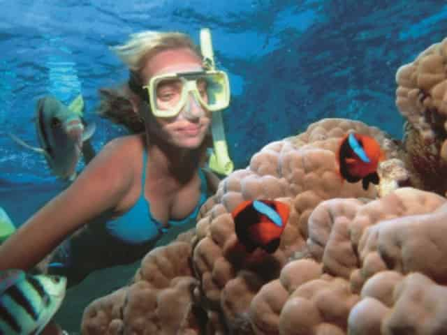 woman snorkeling in miami, fl