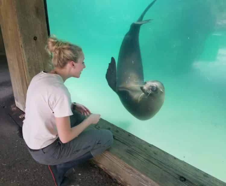 new orleans zoo sea lions