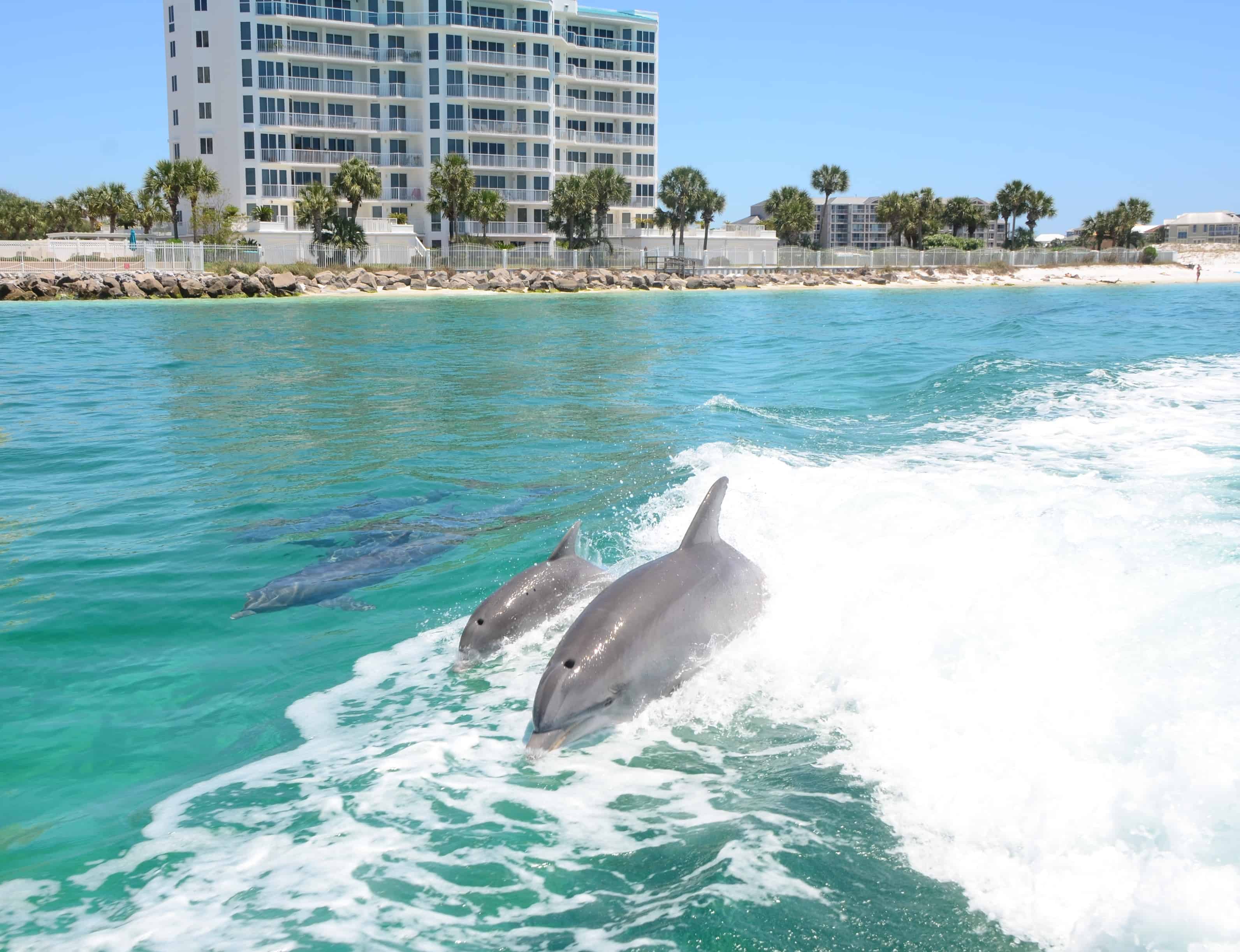 Military Discounts in Destin, FL (2025): Tours, Tickets & Family Fun