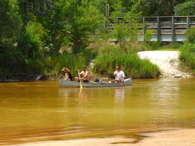 people canoeing at blackwater in milton florida