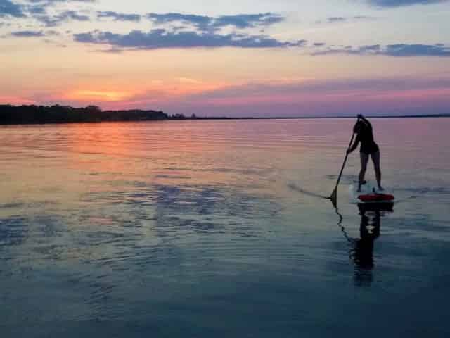 paddleboard rentals orange beach