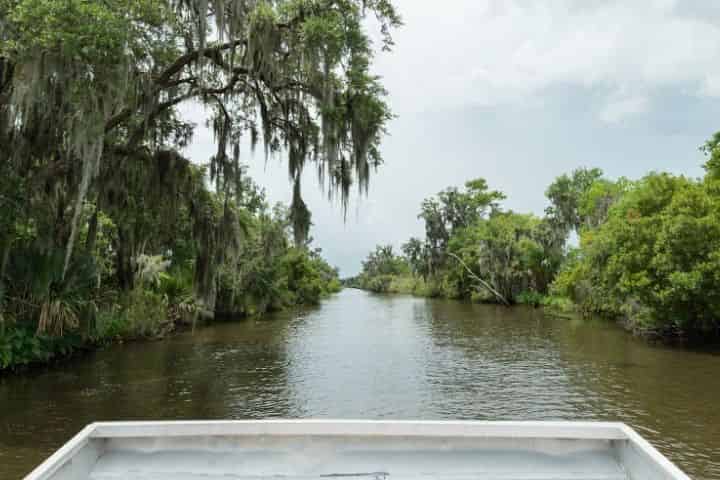Louisiana Airboat Tours: What to Expect w/ Photos & More