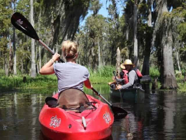guided kayak tour through the swamp