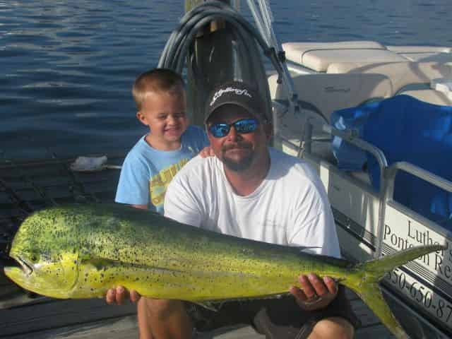 mahi mahi fishing on a destin fishing charter