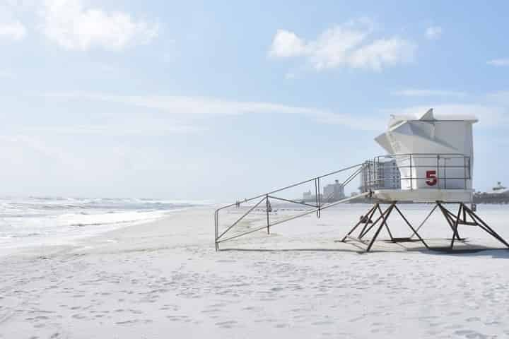 can you take dogs on pensacola beach