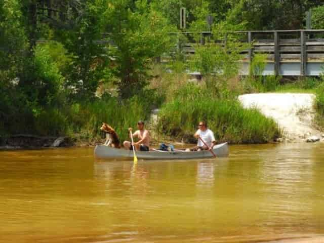 canoeing down blackwater river in milton