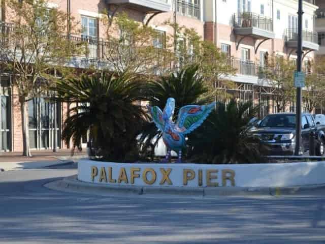 Pelican at Palafox Pier in Pensacola, FL