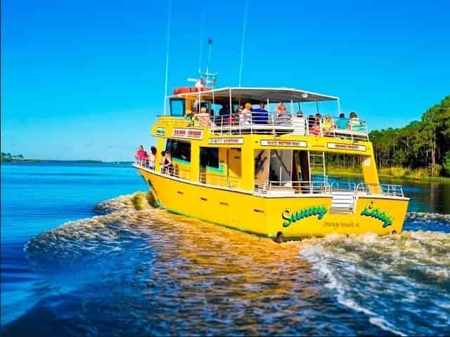 orange beach alabama dolphin cruise aboard the sunny lady