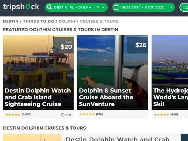 booking dolphin cruise tickets on tripshock