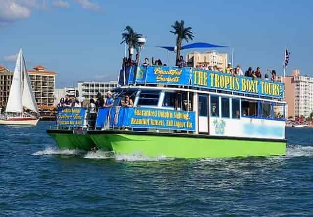 Dolphin adventure in Clearwater Best Time to Take a Dolphin Cruise [And How to Book Tickets]