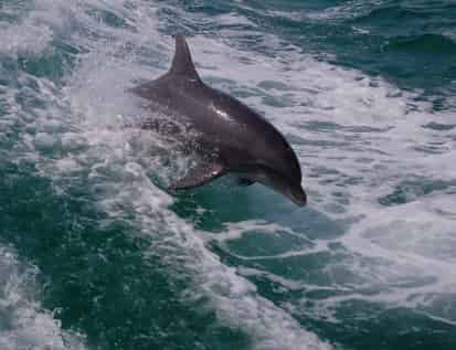 Best Time to Visit Myrtle Beach (Month-by-Month Guide for Weather, Crowds & Activities)