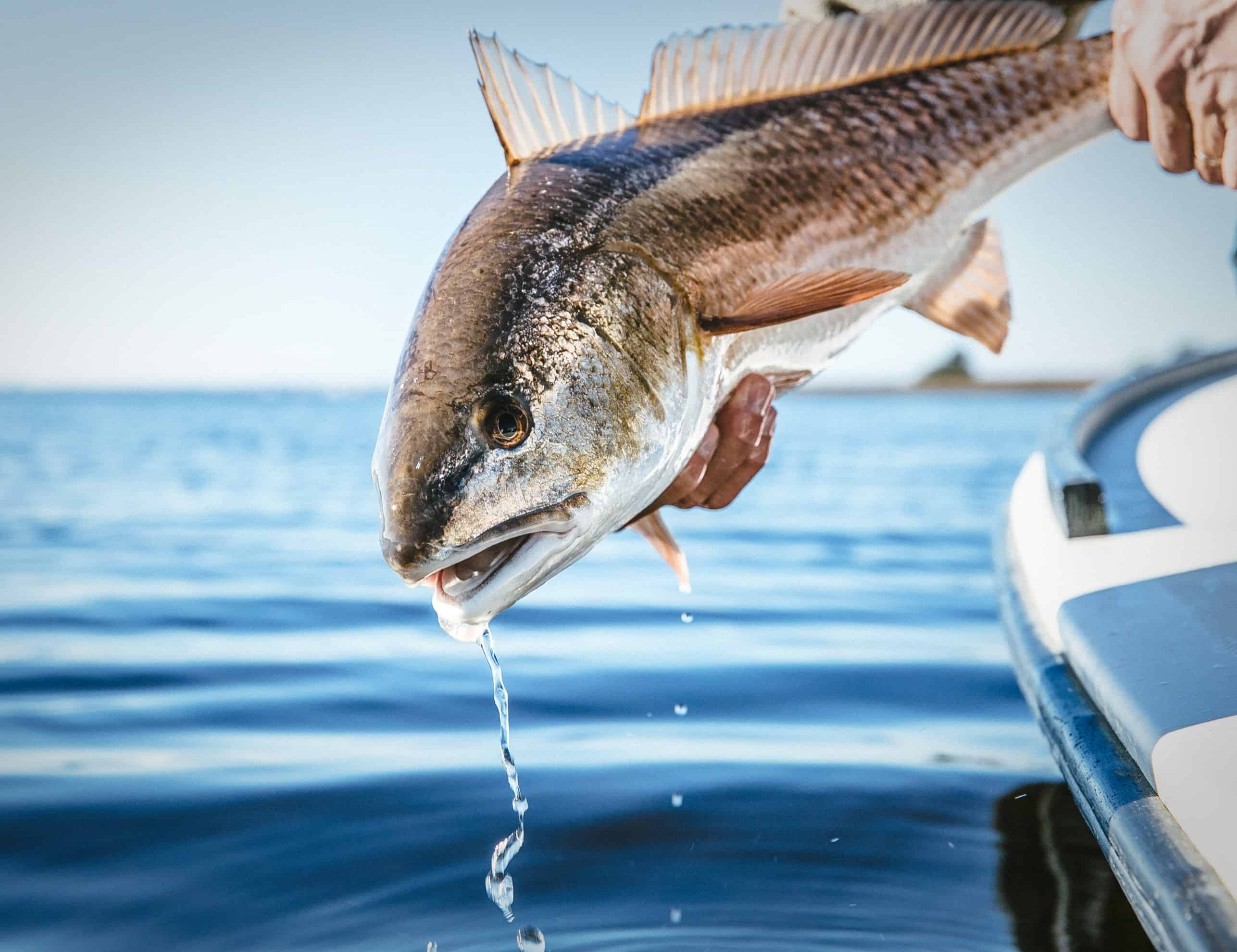 Best Time to Visit Myrtle Beach (Month-by-Month Guide for Weather, Crowds & Activities)