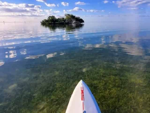 Mangroves of Islamorada, FL - 5 Best Ways to Explore