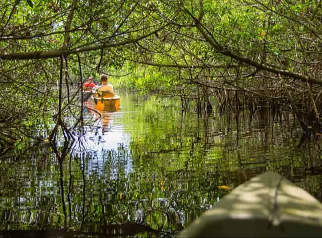 Kayaing in Everglades National Park