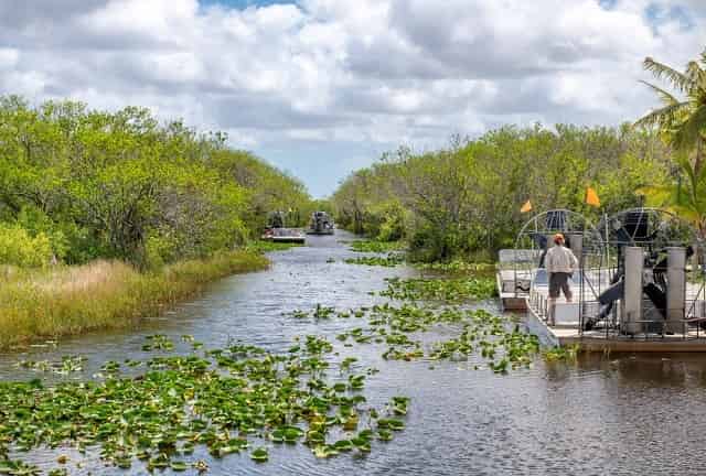 Airboat tour in Everglades National Park